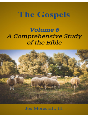 The Gospels:  A Comprehensive Study of the Bible - Volume 6