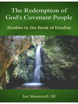 The Redemption of God's Covenant People:  Studies in the Book of Exodus