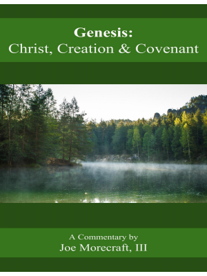 Genesis: Christ, Creation & Covenant
