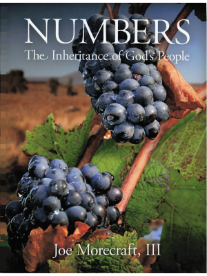 Numbers: The Inheritance of God's People